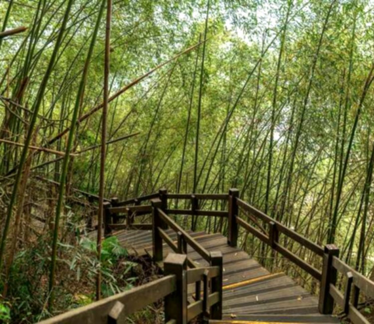 梅山遊客中心