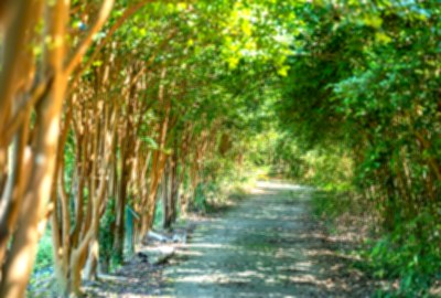 文良休閒農場