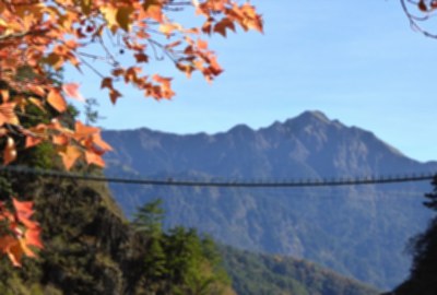 奧萬大國家森林遊樂區