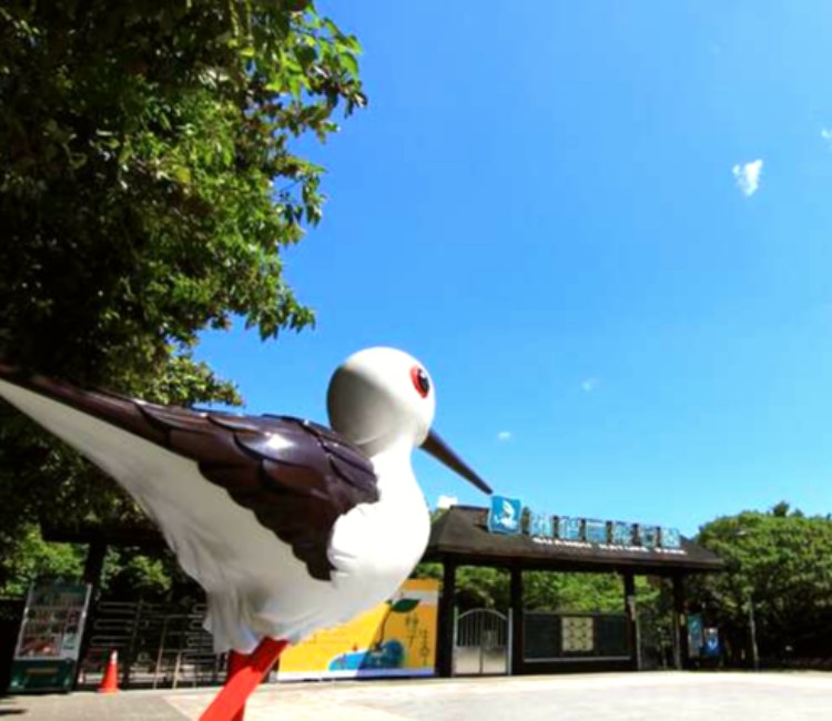 關渡自然公園